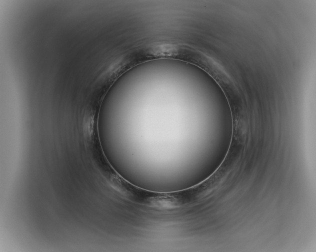 X0000113100652200908281349