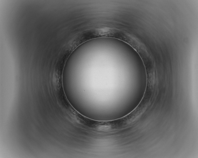 X0000113100653200908281349