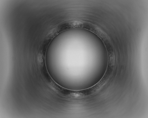 X0000113100654200908281349