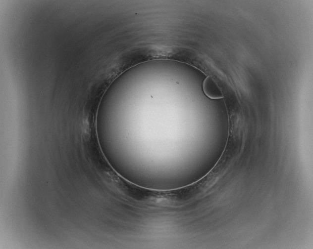 X0000113100655200908281349