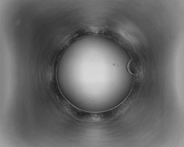 X0000113100656200908281349