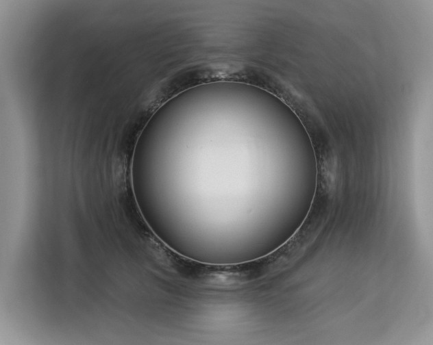 X0000113100657200908281349