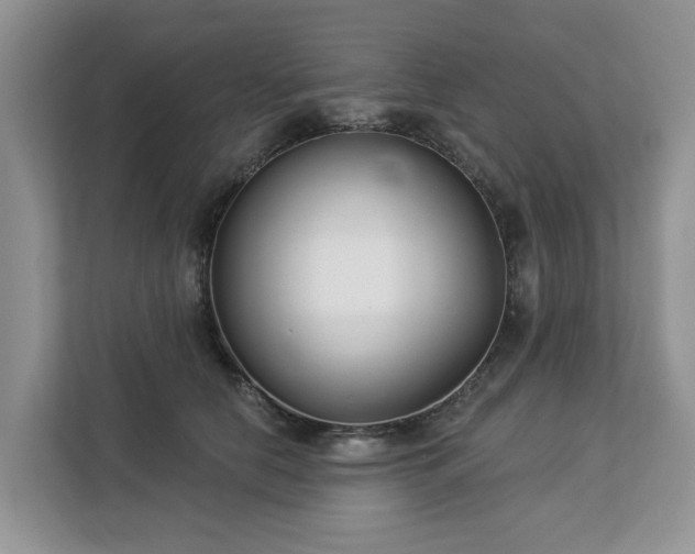 X0000113100658200908281349