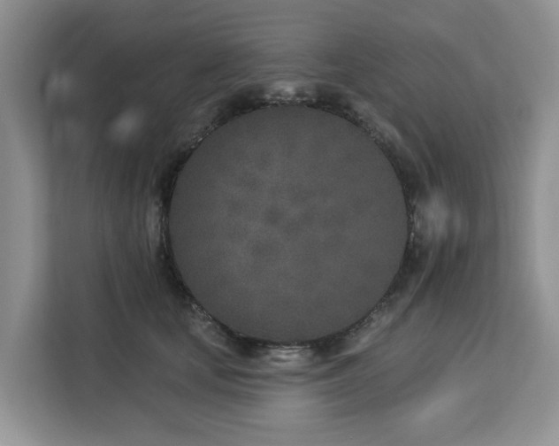 X0000113100659200908281349