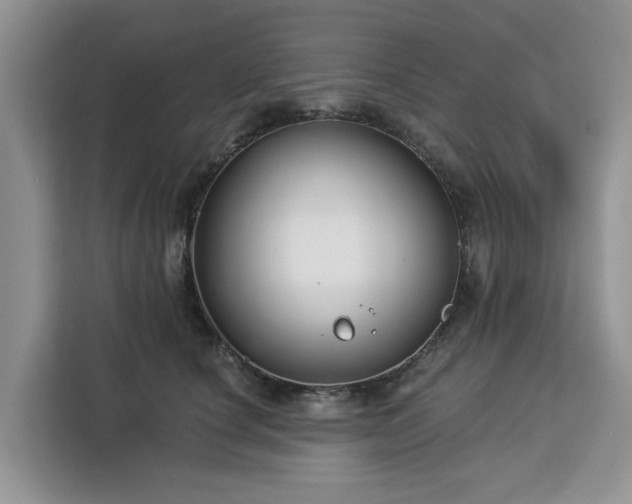 X0000113100660200908281349