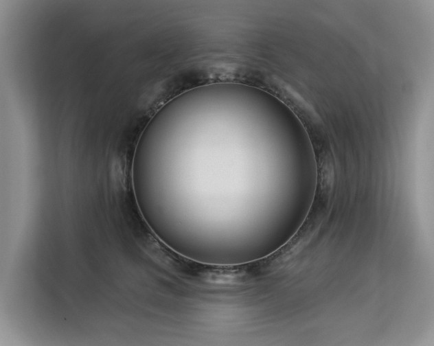 X0000113100661200908281349