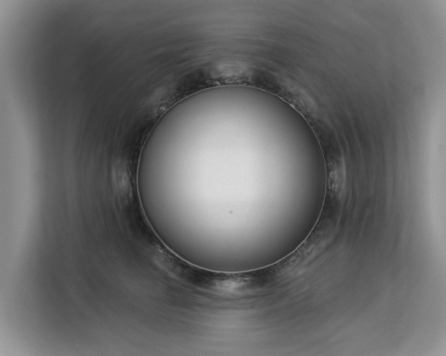 X0000113100662200908281349