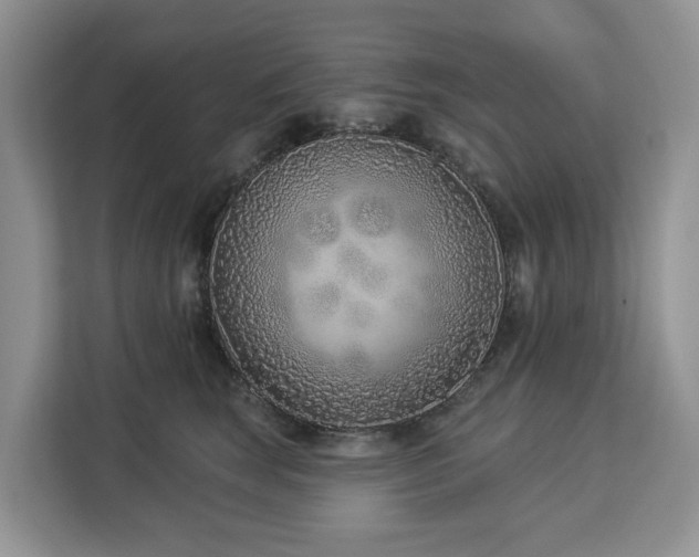 X0000113100663200908281349