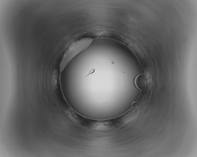 X0000113100664200908281349