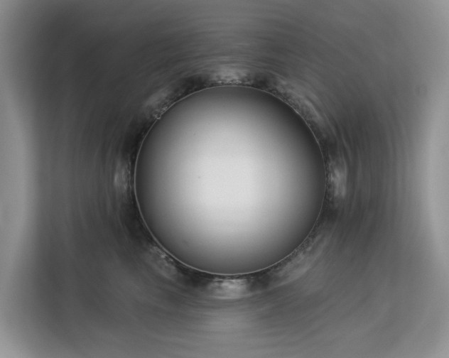 X0000113100665200908281349