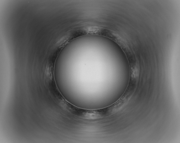 X0000113100666200908281349