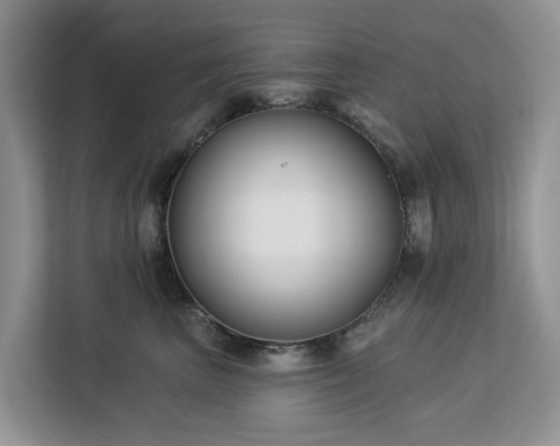 X0000113100667200908281349
