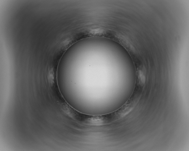 X0000113100668200908281349