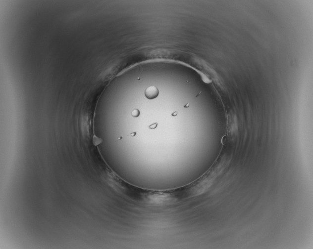 X0000113100669200908281349
