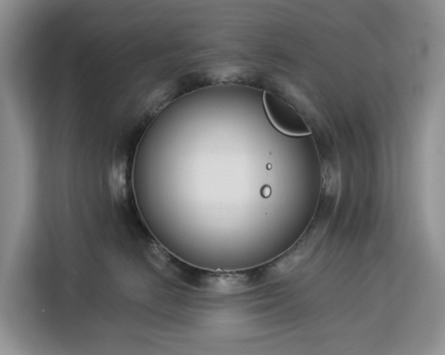 X0000113100670200908281349