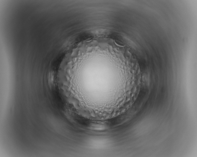 X0000113100671200908281349