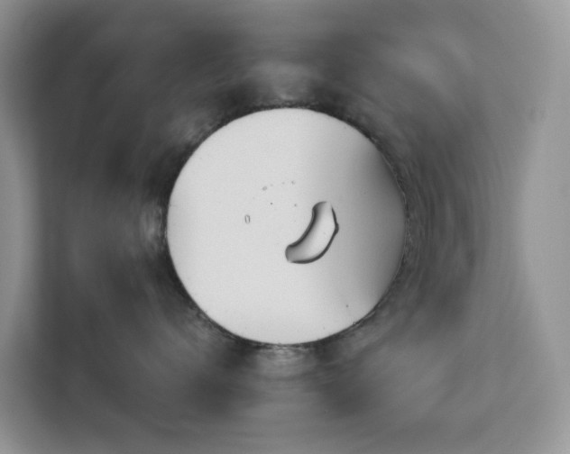X0000113100672200908281349