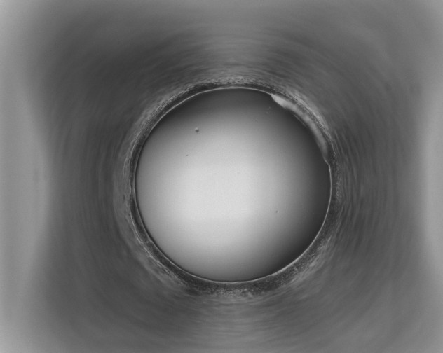 X0000113100673200908281348