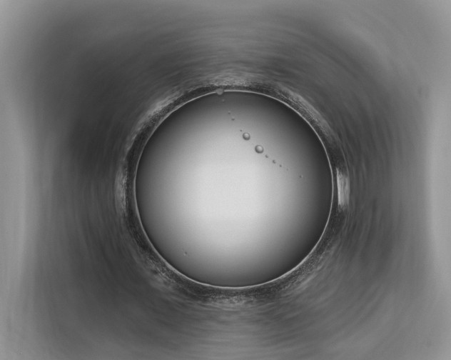 X0000113100675200908281348