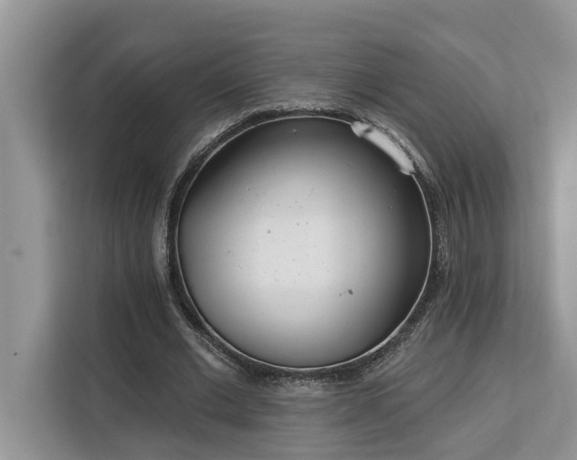 X0000113100677200908281348