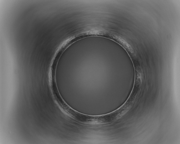 X0000113100678200908281348