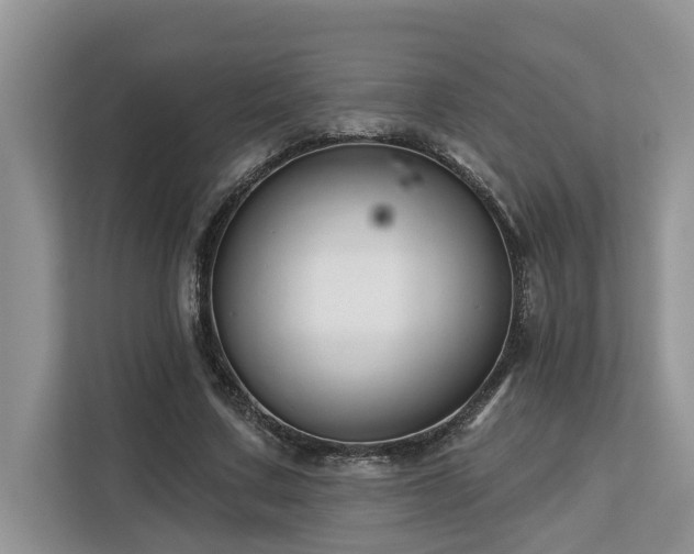 X0000113100683200908281348