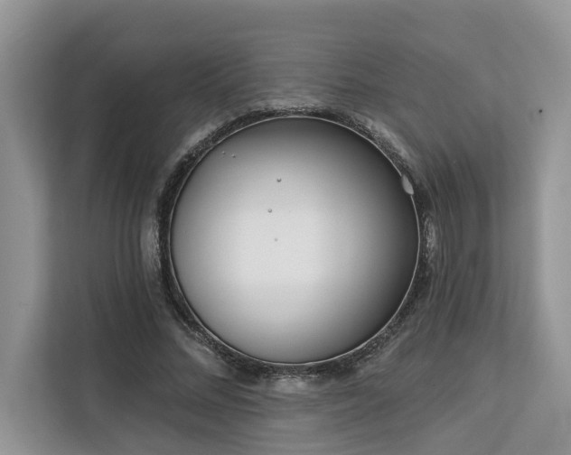 X0000113100684200908281348