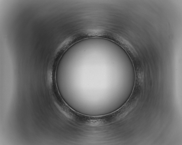 X0000113100686200908281348