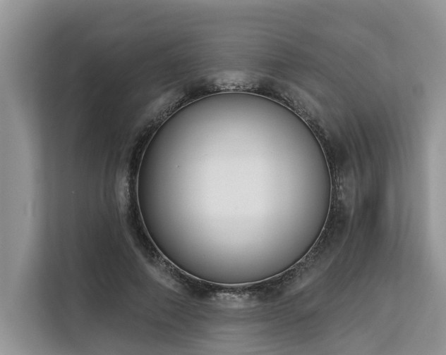 X0000113100690200908281348