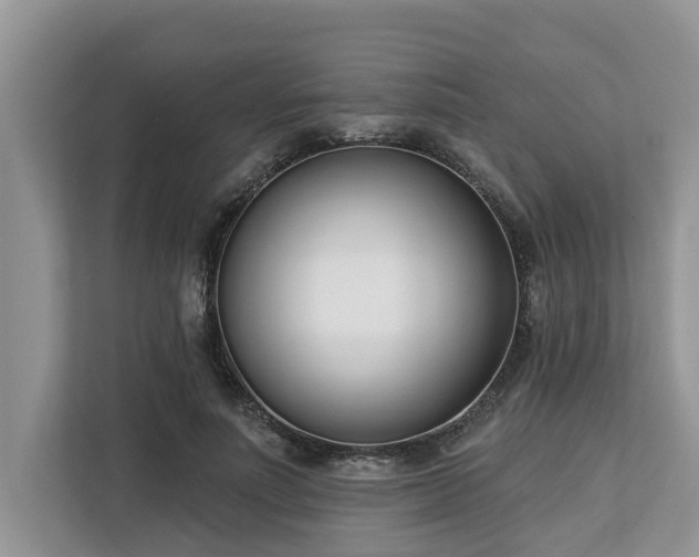 X0000113100691200908281348