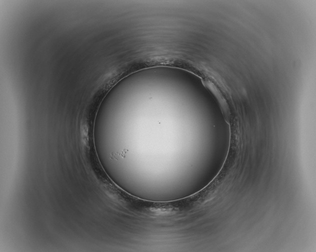 X0000113100693200908281348