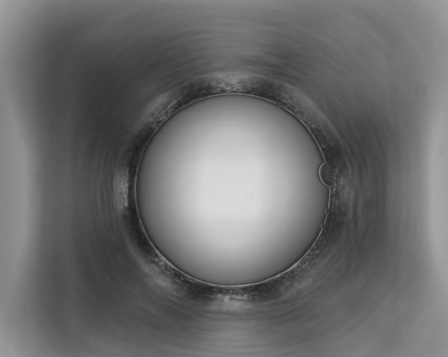 X0000113100694200908281348
