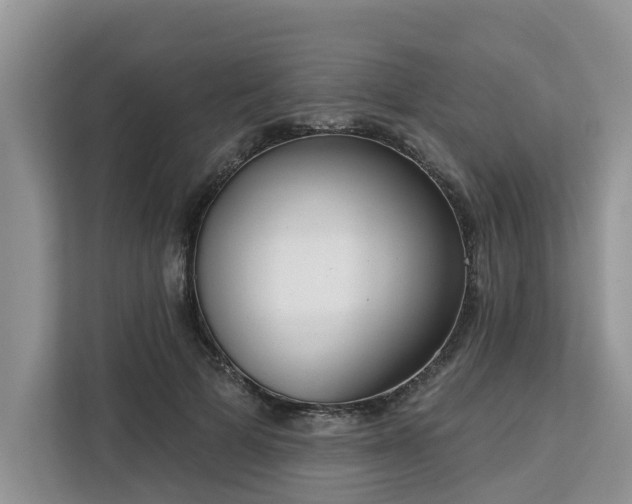X0000113100697200908281348