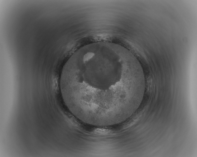 X0000113100699200908281348