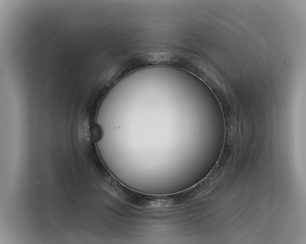 X0000113100700200908281348