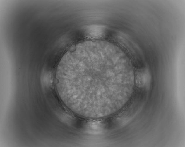 X0000113100701200908281348