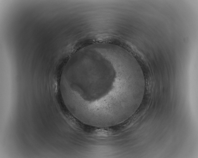 X0000113100703200908281348
