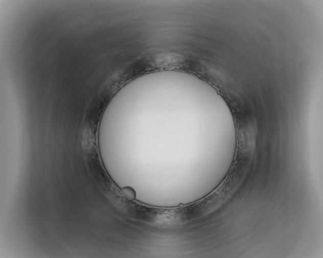 X0000113100705200908281348