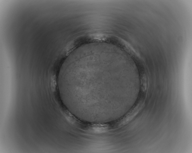 X0000113100707200908281348