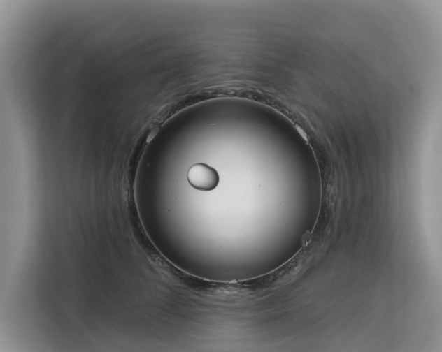 X0000113100708200908281348