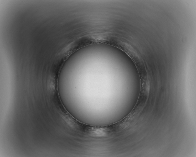 X0000113100710200908281348