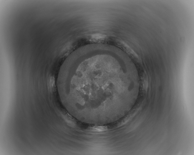 X0000113100711200908281348