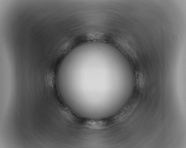 X0000113100712200908281348