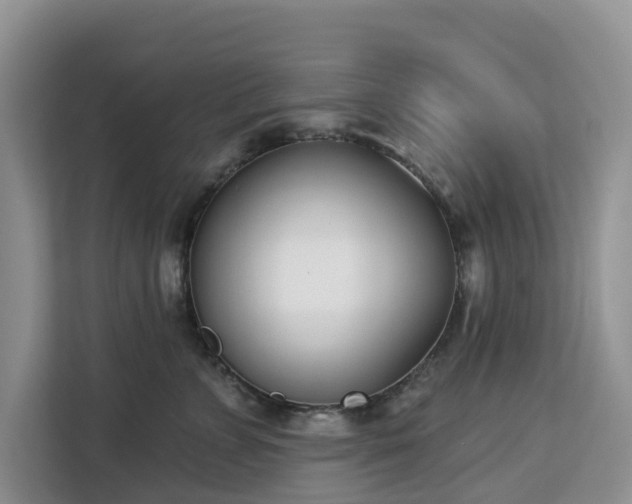 X0000113100715200908281348