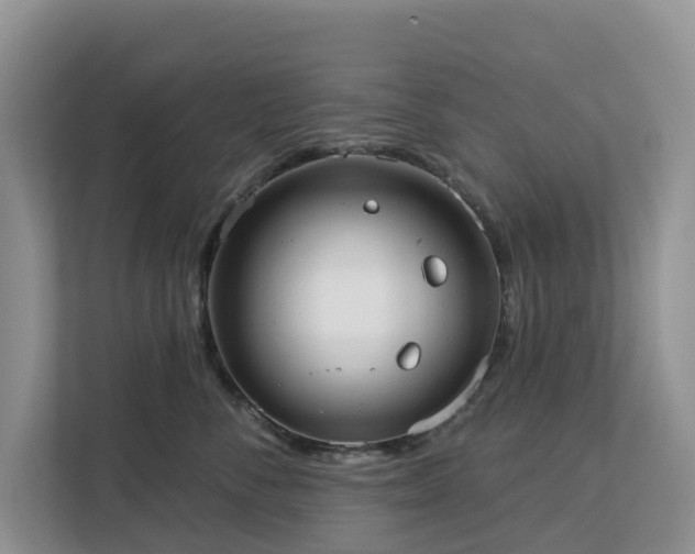 X0000113100716200908281348