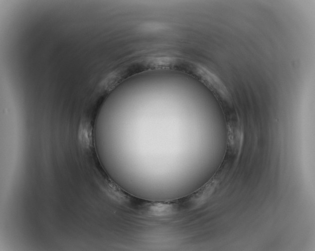 X0000113100718200908281348