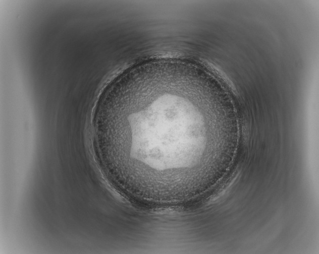 X0000113100721200908281347