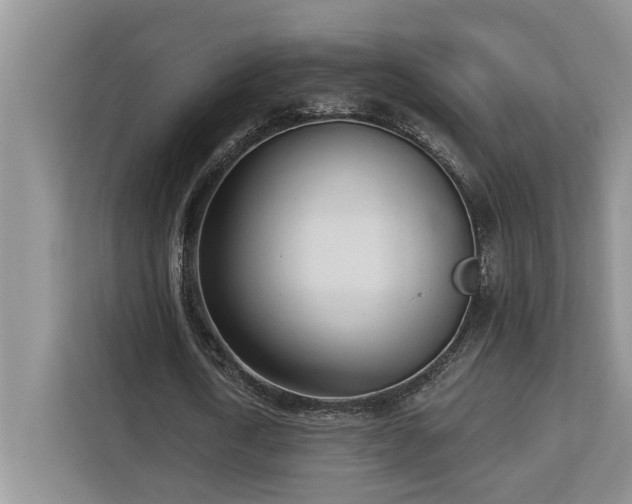 X0000113100722200908281347