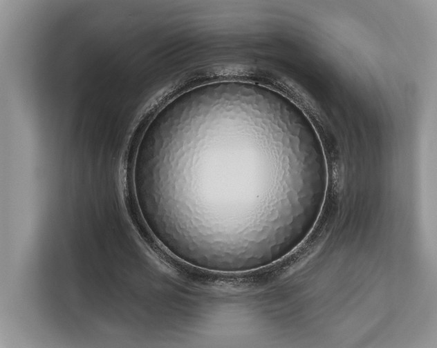 X0000113100725200908281347