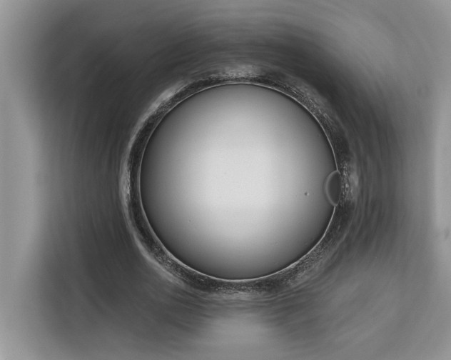 X0000113100726200908281347
